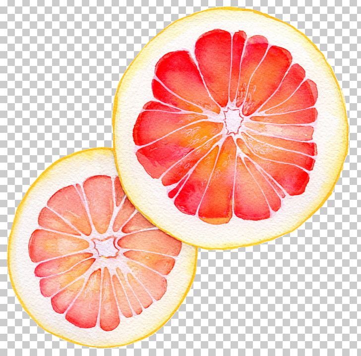 Grapefruit Juice Vegetarian Cuisine Pomelo Blood Orange PNG, Clipart, Art, Blood Orange, Citrus, Color, Food Free PNG Download