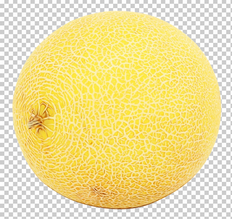 Melon Honeydew Cantaloupe Winter Squash Galia Melon PNG, Clipart, Cantaloupe, Citron, Commodity, Cucumber, Fruit Free PNG Download