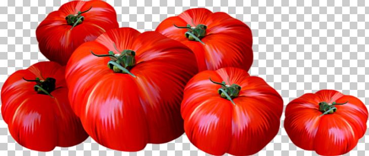 Plum Tomato Bell Pepper Bush Tomato Drawing PNG, Clipart, Bell Pepper, Bell Peppers And Chili Peppers, Bush Tomato, Chili Pepper, Drawing Free PNG Download