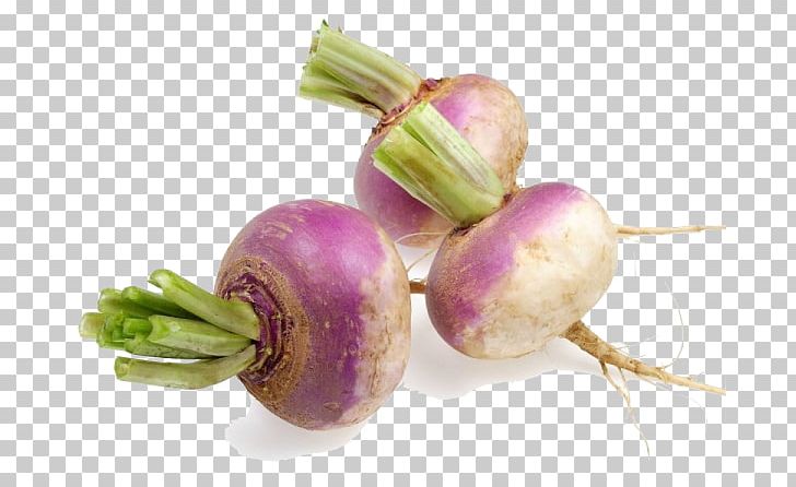 Turnip Root Vegetables Rutabaga Radish PNG, Clipart, Asparagus, Bead, Cabbage, Cruciferous Vegetables, Food Free PNG Download