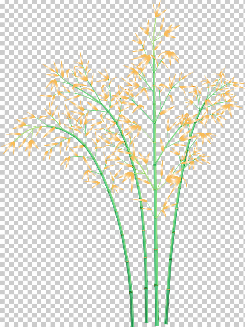 Plant Grass Flower Plant Stem Grass Family PNG, Clipart, Bamboo, Cut Flowers, Elymus Repens, Flower, Grass Free PNG Download