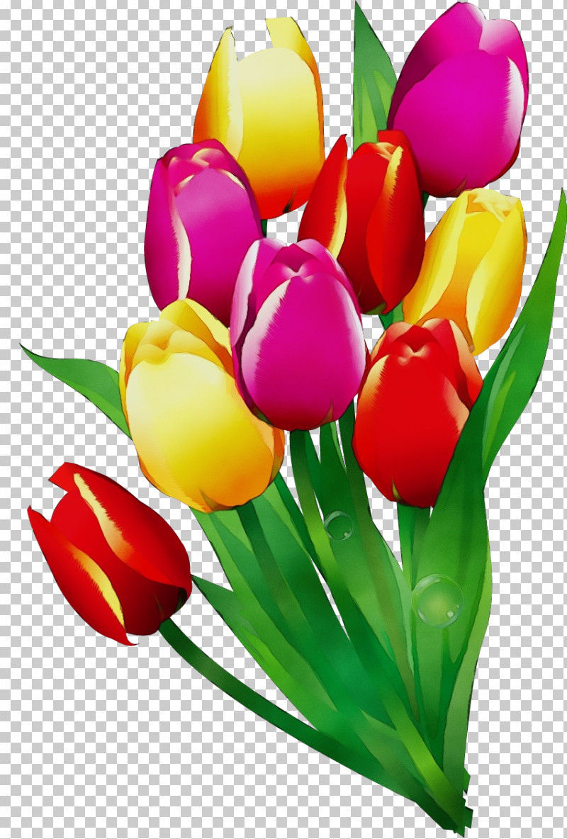 Artificial Flower PNG, Clipart, Artificial Flower, Bouquet, Bud, Crocus, Cut Flowers Free PNG Download