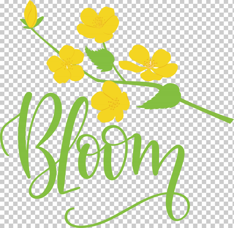 Bloom Spring PNG, Clipart, Bloom, Cut Flowers, Floral Design, Flower, Leaf Free PNG Download