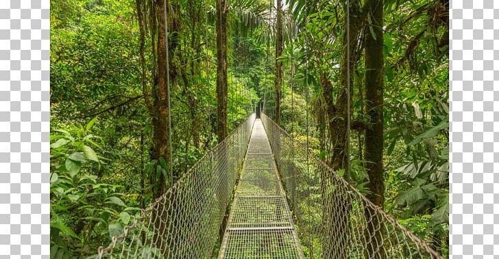 Arenal Volcano Stock Photography Costa Rica Vacations Travel PNG, Clipart, Arenal Volcano, Biome, Canopy Walkway, Child, Costa Free PNG Download