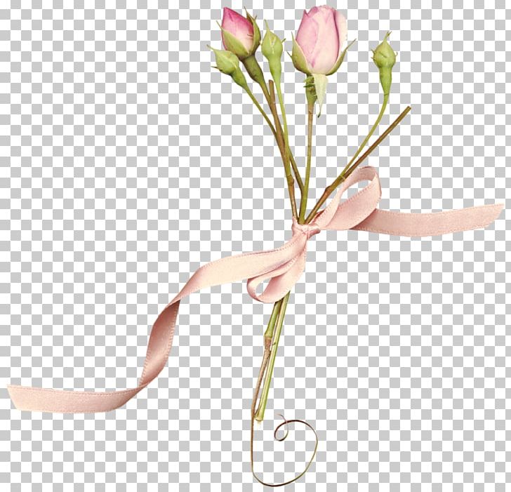 Floral Design Cut Flowers Pink Rose PNG, Clipart, Beach Rose, Bud, Color, Floristry, Flower Free PNG Download