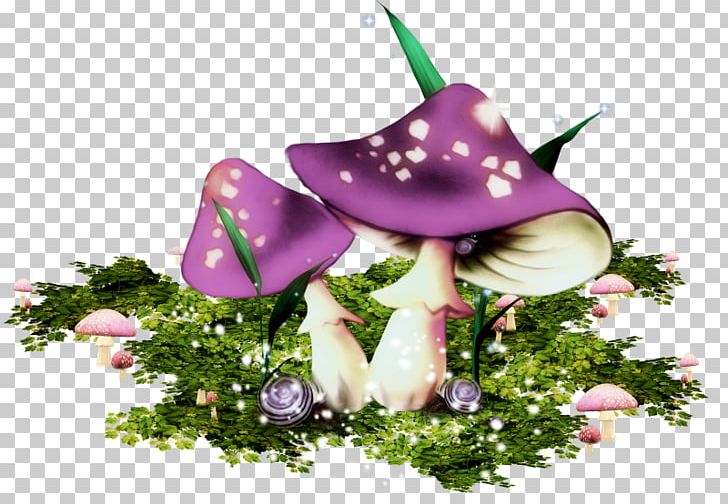 Mushroom PNG, Clipart, Blog, Champignon, Cut Flowers, Desktop Wallpaper, Drawing Free PNG Download