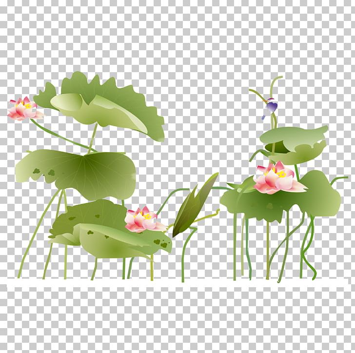 Xuchang Nelumbo Nucifera Icon PNG, Clipart, Blue, Branch, Computer Wallpaper, Containing, Creative Free PNG Download