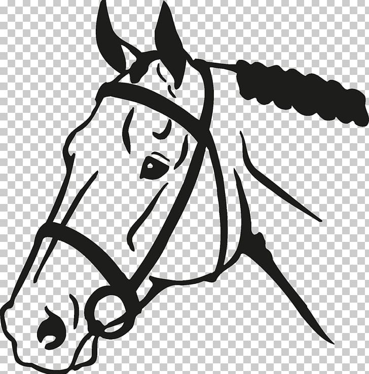 Horse Impact Expressions Equestrian Foal Colt PNG, Clipart, Animals, Black, Bridle, Carnivoran, Cartoon Free PNG Download