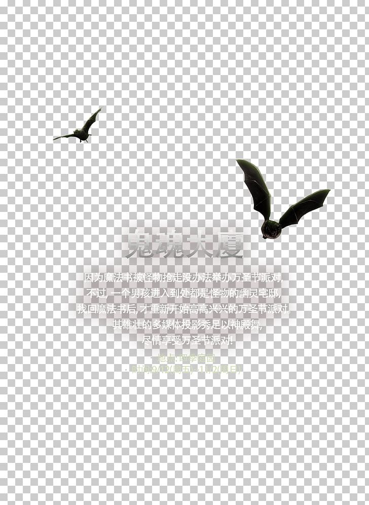 Beak Desktop Computer Feather Font PNG, Clipart, Beak, Bird, Black And White, Computer, Computer Wallpaper Free PNG Download