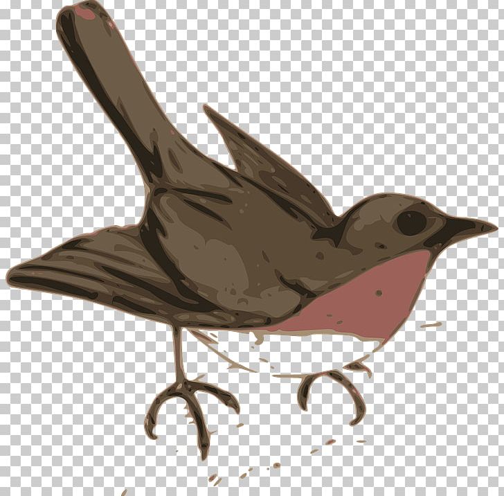 Bird Wren Cuckoos PNG, Clipart, Animals, Beak, Bird, Cuckoos, Download Free PNG Download