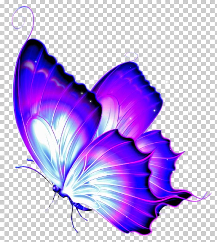 Butterfly Butterflies & Dragonflies: A Site Guide Portable Network Graphics PNG, Clipart, Butterflies And Moths, Butterfly, Butterfly Gardening, Butterfly Tattoo, Computer Wallpaper Free PNG Download