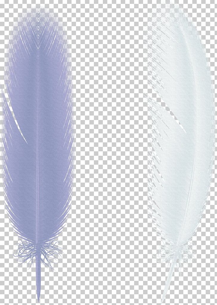 Butterfly Feather Paper Bird Wing PNG, Clipart, Animals, Bird, Download, Falling, Feather Falling Material Free PNG Download