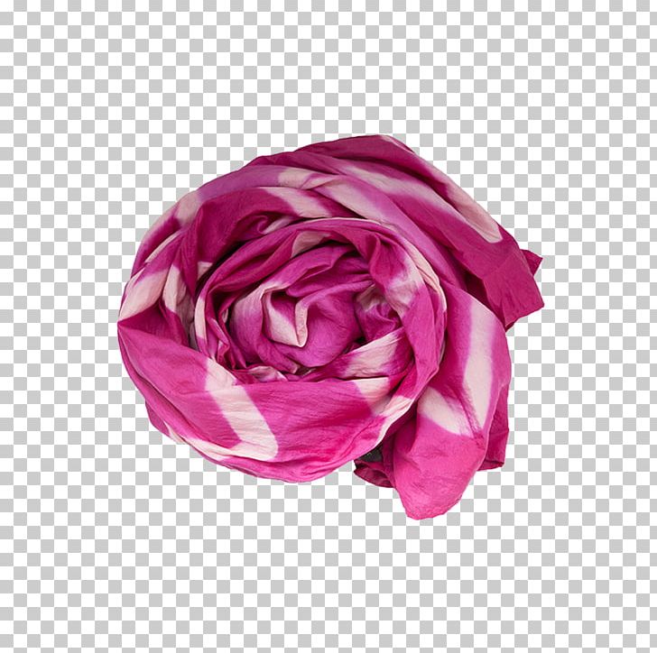 Garden Roses Pink Stock Photography Rosa Moschata PNG, Clipart, Blue, Cut Flowers, Feather Boa Shawl, Flower, Garden Roses Free PNG Download