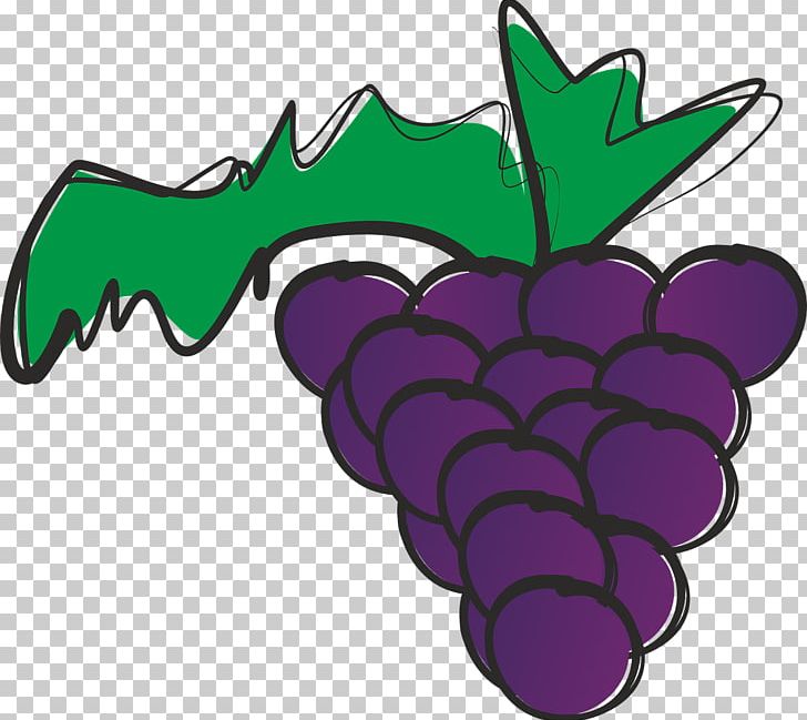 Grape Wine Raceme Fruit PNG, Clipart, Auglis, Drawing, Flavor, Flowering Plant, Food Free PNG Download