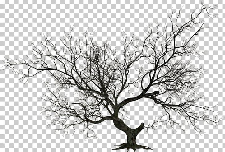 The Halloween Tree PNG, Clipart, Black And White, Branch, Christmas Tree, Computer Wallpaper, Document Free PNG Download