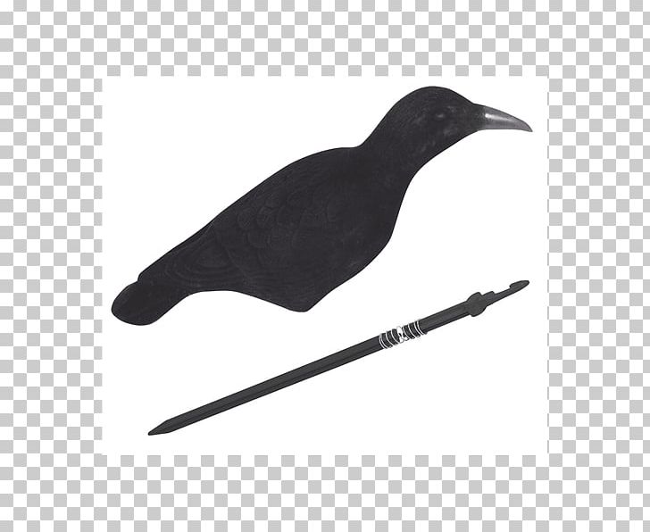Bird Flocking Magpie Feather Beak PNG, Clipart, Animals, Beak, Bird, Black, Coloring Book Free PNG Download