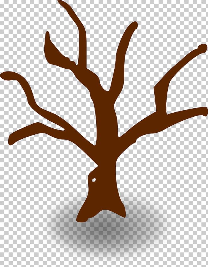 Branch Tree PNG, Clipart, Artwork, Beak, Branch, Drawing, Leaf Free PNG Download