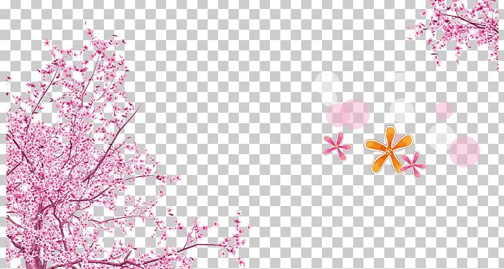 Pink Cherry Blossom PNG, Clipart, Blossom, Blossoms, Blossoms Vector, Branch, Cherry Free PNG Download