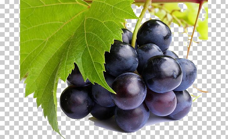Pinot Noir Juice Pinot Meunier Grape-Nuts PNG, Clipart, Antioxidant, Berry, Black Grapes, Black Rot, Blueberry Free PNG Download