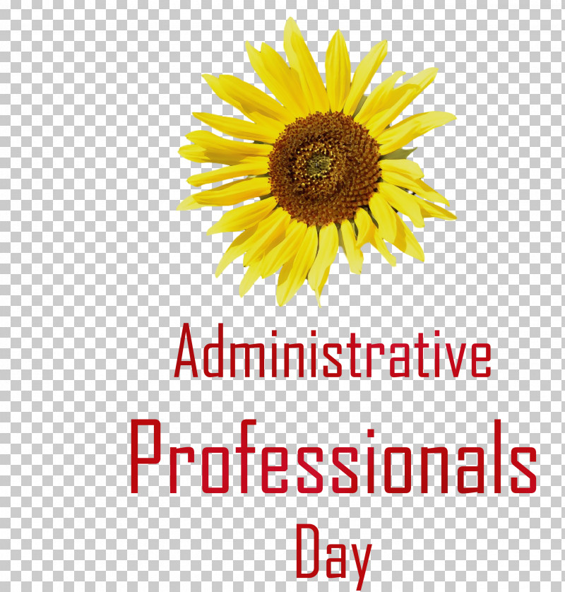Cut Flowers Daisy Family Sunflower Seeds Flower Fluminense Fc PNG, Clipart, Admin Day, Administrative Professionals Day, Common Daisy, Cut Flowers, Daisy Family Free PNG Download