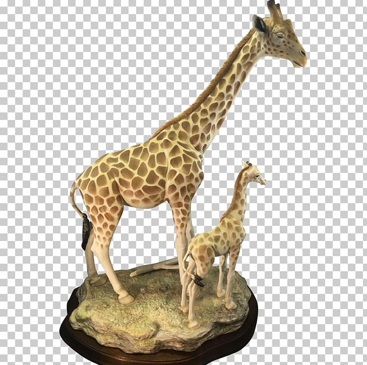 Giraffe Wood /m/083vt Terrestrial Animal Wildlife PNG, Clipart, Animal, Animal Figure, Animals, Bisque, Calf Free PNG Download
