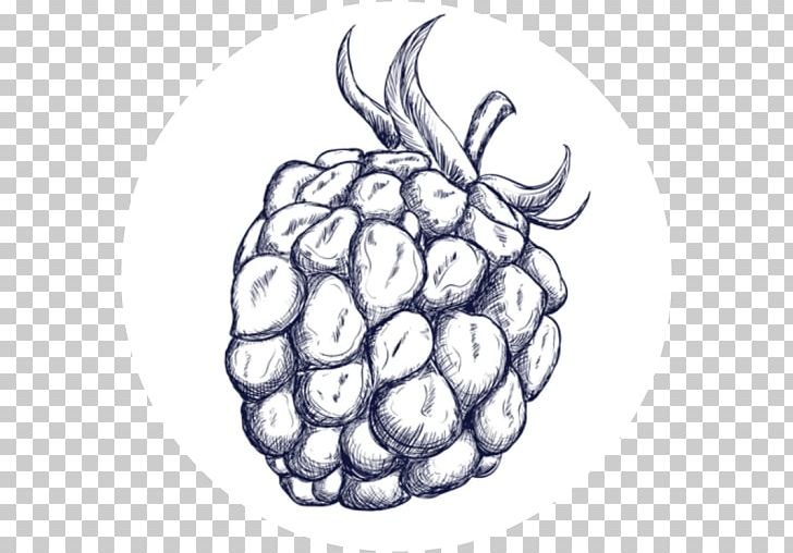 Grape Drawing PNG, Clipart, Artwork, Auglis, Berry, Black And White, Blackberry Free PNG Download