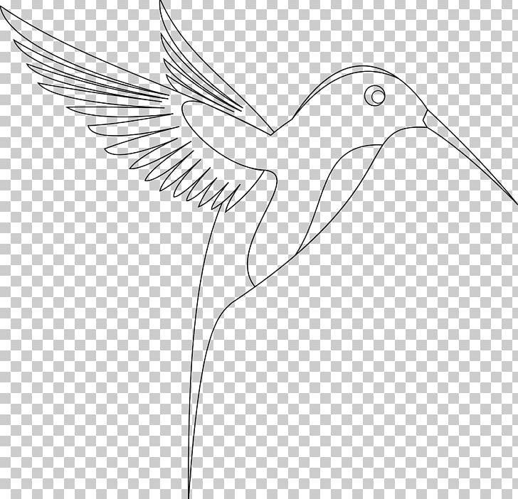 Hummingbird Sketch PNG, Clipart, Animals, Artwork, Beak, Bird, Black And White Free PNG Download