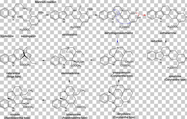 Indole Alkaloid Ergoline Gramine PNG, Clipart, Amine, Angle, Area, Auto Part, Black And White Free PNG Download