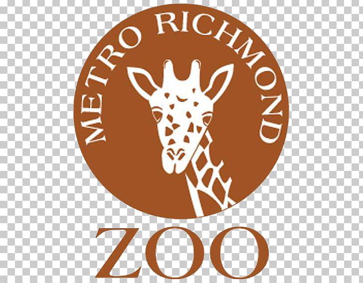 Metro Richmond Zoo Virginia Zoological Park West Virginia Zoo PNG, Clipart, Antler, Bestzoo, Cheetah, Chesterfield County, Giraffe Free PNG Download