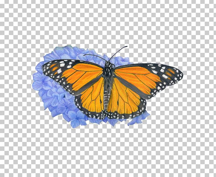 Monarch Butterfly Pieridae Brush-footed Butterflies Drawing PNG, Clipart, Arthropod, Bag, Brush Footed Butterfly, Butterfly, Butterfly Coloring Free PNG Download