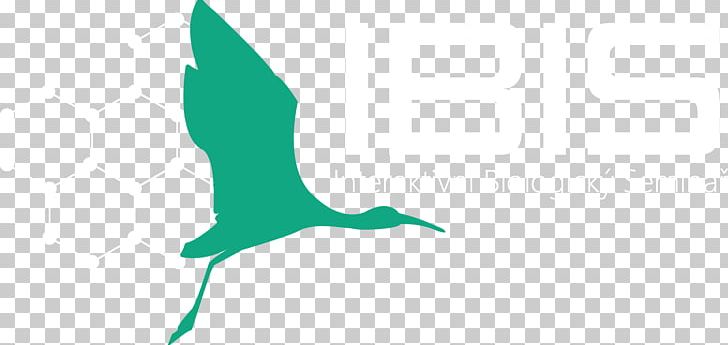 Beak Water Bird H&M PNG, Clipart, Animals, Beak, Bird, Green, Hand Free PNG Download