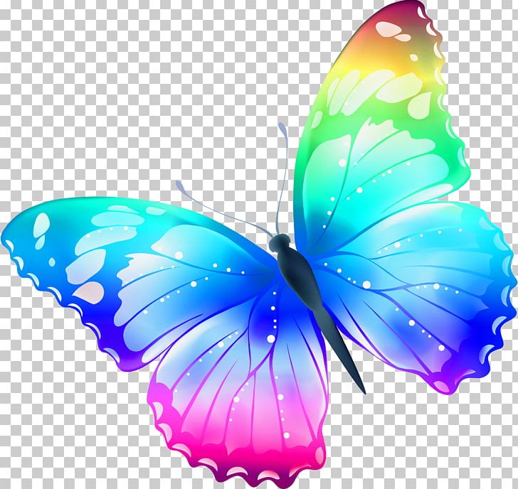 Butterfly Pink Cat Drawing PNG, Clipart, Aqua, Blue, Brush Footed Butterfly, Buterfly, Butterflies And Moths Free PNG Download