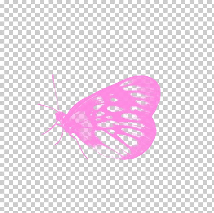 Graphic Computer PNG, Clipart, Blue Butterfly, Book, Butterflies, Butterfly, Butterfly Effect Free PNG Download