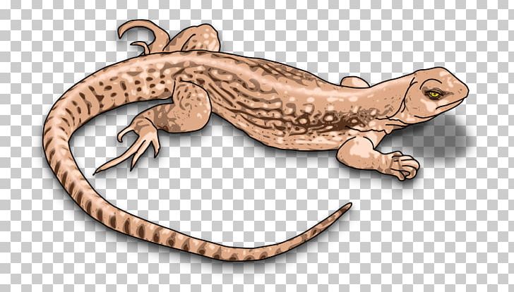 Lizard Reptile Common Iguanas Chameleons PNG, Clipart, Amphibian, Animal Figure, Chameleons, Common Iguanas, Download Free PNG Download
