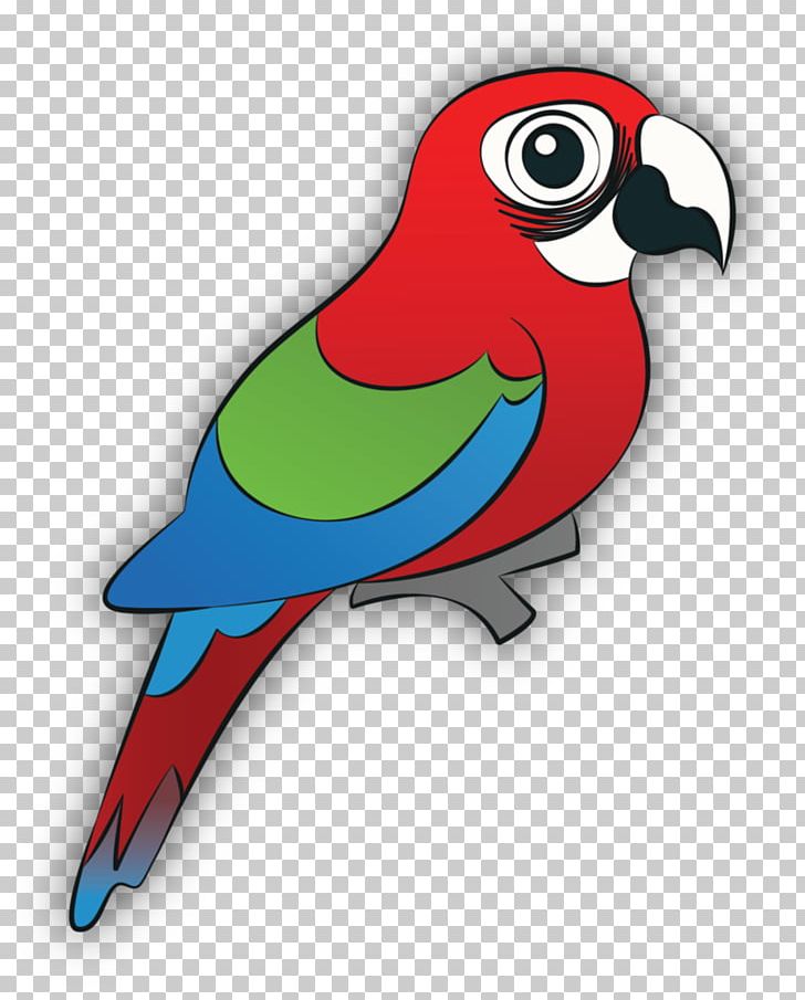 Macaw Parrot Loriini Animal PNG, Clipart, Abstract Animal, Animal, Beak, Bird, Feather Free PNG Download