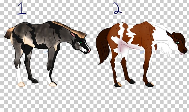 Mustang Foal Stallion Colt Mare PNG, Clipart, Animal Figure, Colt, Donkey, Foal, Halter Free PNG Download