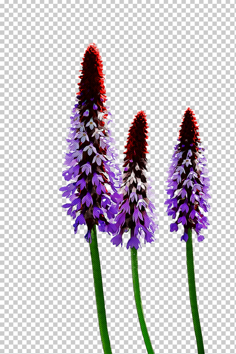 Spring Flower Spring Floral Flowers PNG, Clipart, Flower, Flowers, Herbaceous Plant, Lavender, Perennial Plant Free PNG Download