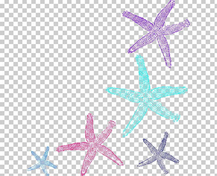 Starfish PNG, Clipart, Animals, Blue, Computer Icons, Download, Echinoderm Free PNG Download