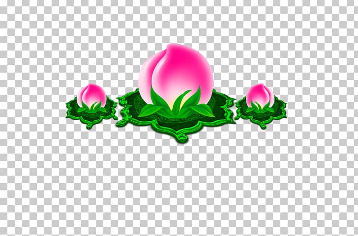 Longevity Peach Saturn Peach Icon PNG, Clipart, Computer Wallpaper, Creativity, Designer, Download, Flower Free PNG Download