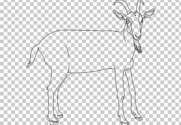 Antelope Reindeer Cattle Line Art Goat PNG, Clipart, Animal Figure, Antler, Artwork, Black And White, Cad Free PNG Download