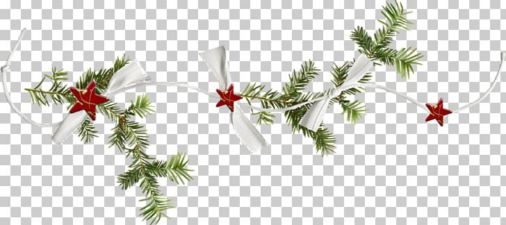 Christmas Ornament PNG, Clipart, Animation, Birthday, Blog, Branch, Centerblog Free PNG Download