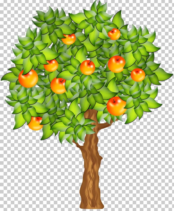 Fruit Tree Fruit Tree PNG, Clipart, Apple, Arecaceae, Branch, Clip Art, Download Free PNG Download