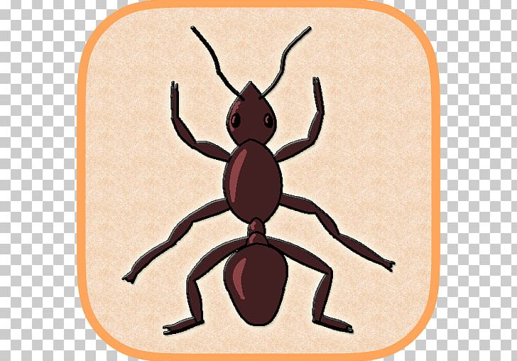 Insect Ant Smasher By Best Cool & Fun Games Pollinator Pest PNG, Clipart, Animals, Ant, Ant Smasher By Best Cool Fun Games, Apk, App Free PNG Download
