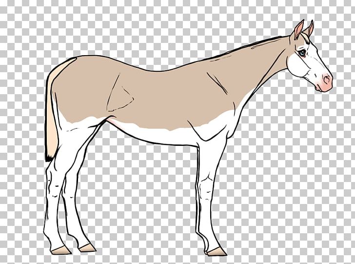Mule Foal Stallion Colt Mare PNG, Clipart, Arm, Colt, Donkey, Foal, Golden Acres Boarding Kennels Free PNG Download