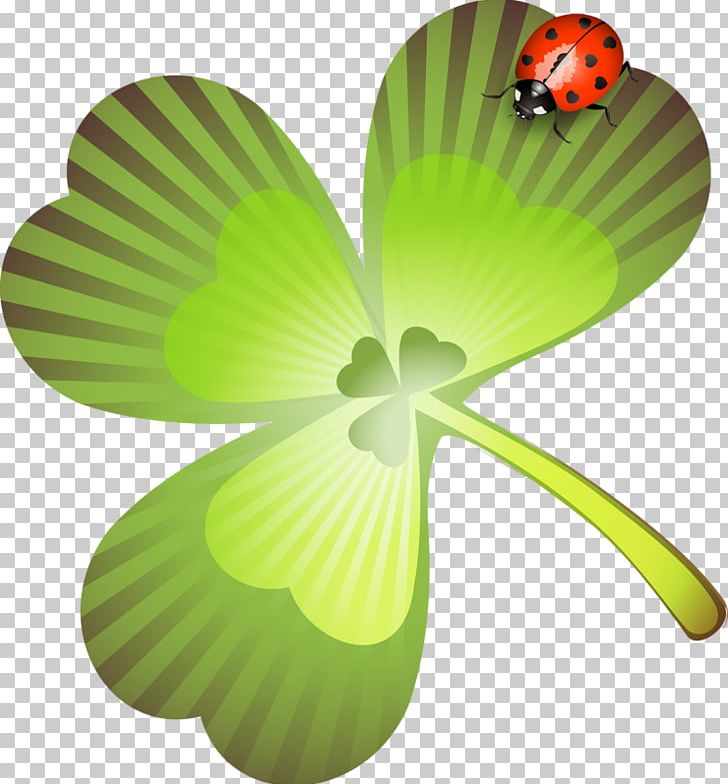 Saint Patrick's Day Holiday Collage PNG, Clipart, 222, Clover, Collage, Computer Icons, Flora Free PNG Download