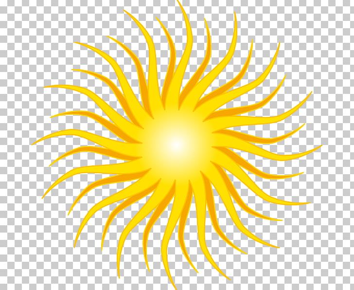 Sunlight Free Content PNG, Clipart, Circle, Desert, Download, Flower, Flowering Plant Free PNG Download
