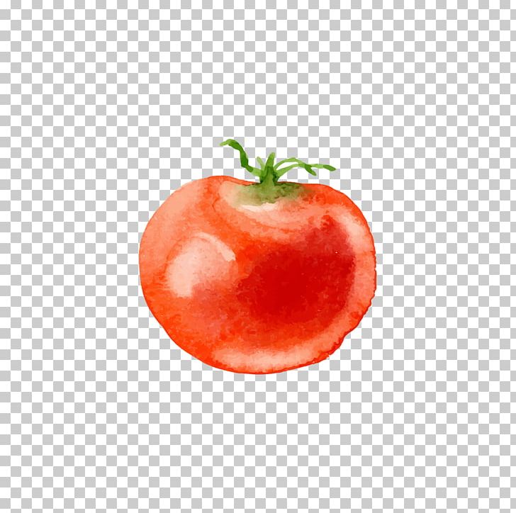 Tomato Vegetable Food U4f5cu578b PNG, Clipart, Auglis, Daily Expenses, Diet Food, Fruit, Green Free PNG Download