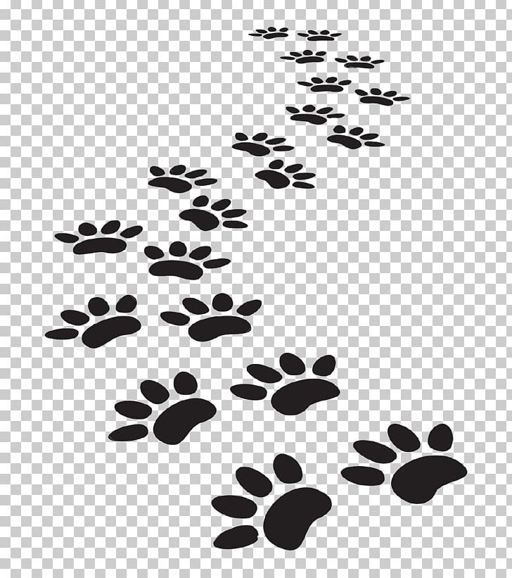 Dog Cat Paw Printing PNG, Clipart, Animal, Animals, Animal Track, Black And White, Branch Free PNG Download