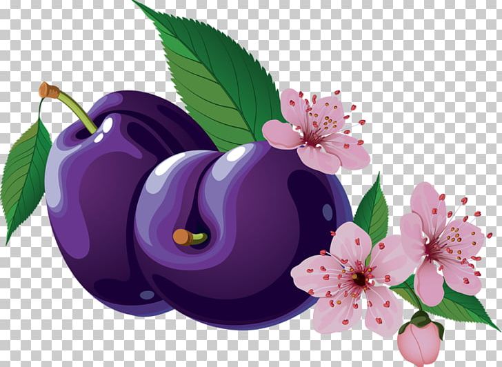 Fruit PNG, Clipart, Drawing, Flower, Flowering Plant, Food, Fototapeta Free PNG Download