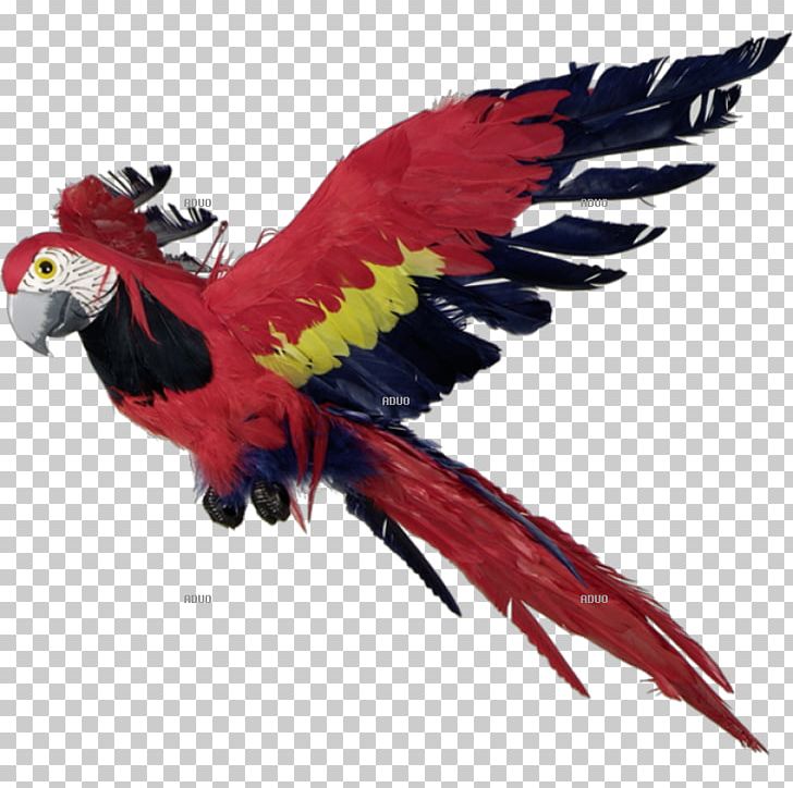 Macaw Parrot Bird Feather Beak PNG, Clipart, 7000, Animal, Animal Figure, Animals, Beak Free PNG Download